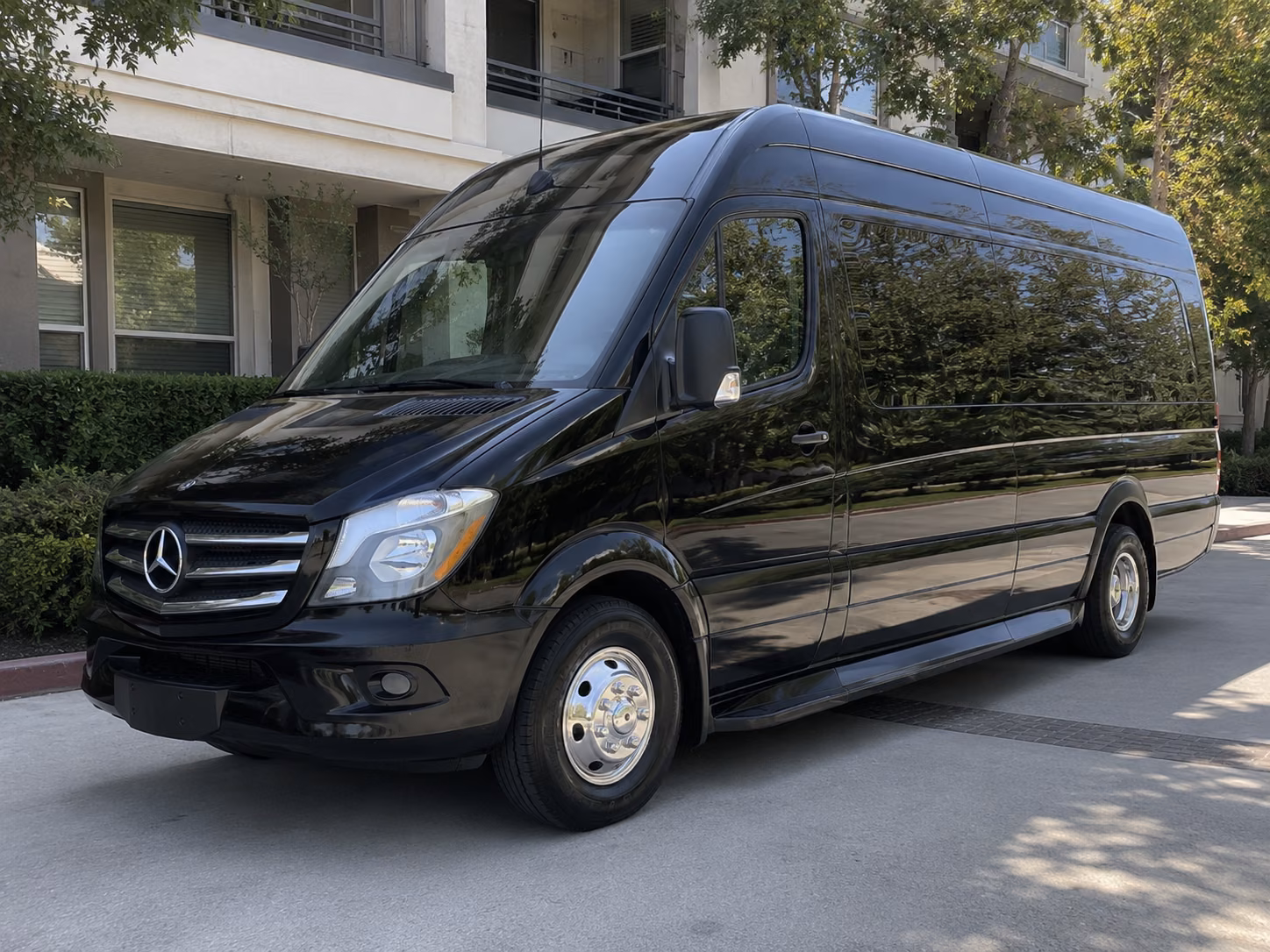 sprinter van rentals for small wedding groups and vip transfers in brockton